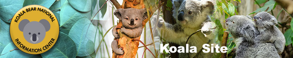 koala site