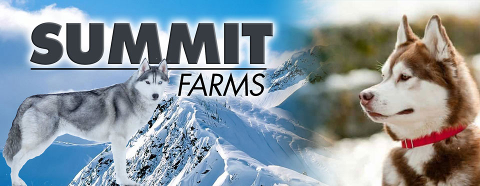 summit farms banner
