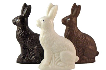 chocolate bunny trio